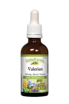 Natural Factors Valerian 50ml Hot on Sale