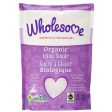 Wholesome Sweeteners Organic Icing Sugar 454g Discount