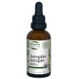 St. Francis Astragalus 50ml For Discount