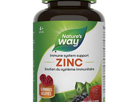 Nature s Way Zinc Gummies 60s Discount