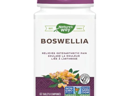 Nature s Way Boswellia 60s Supply