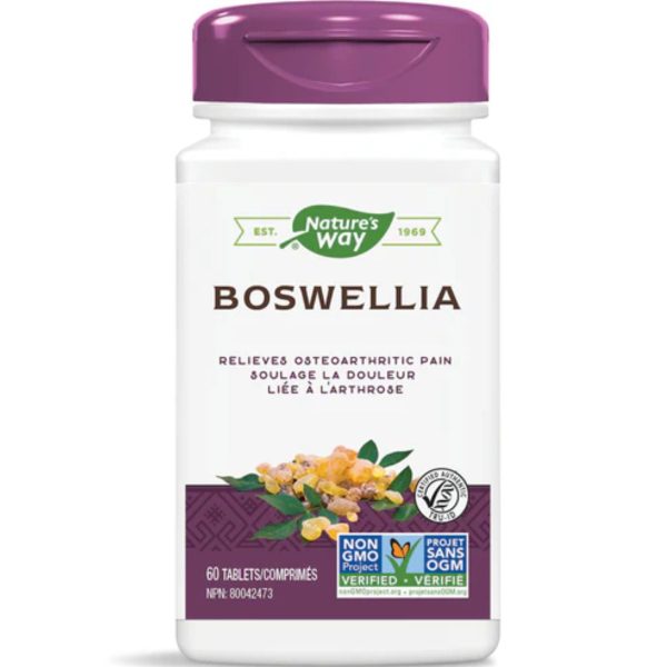 Nature s Way Boswellia 60s Supply