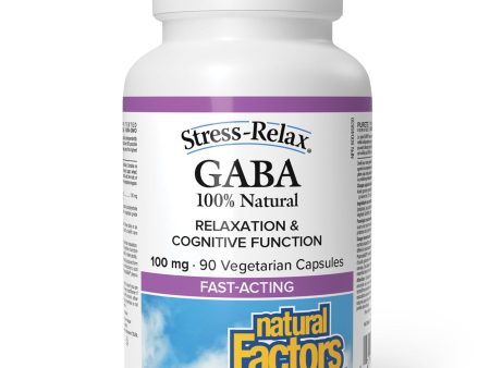 Natural Factors 100% Natural GABA 100 mg Capsules 90s Fashion