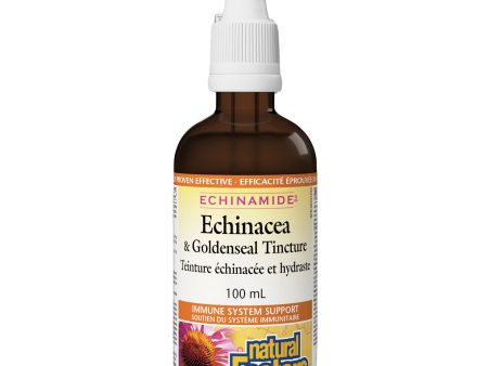 Natural Factors Echinamide Echinacea & Goldenseal Tincture 100ml Online