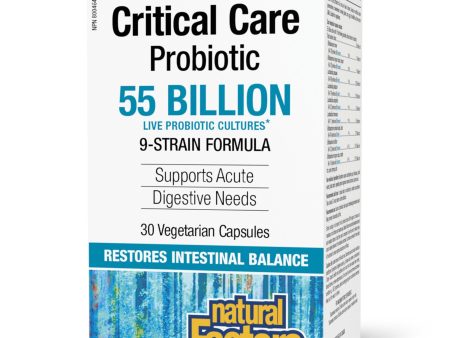 Natural Factors Critical Care Probiotic 55 Billion CFU 30s Online Hot Sale