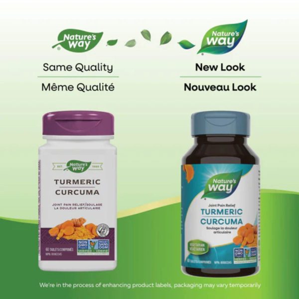 Nature s Way Turmeric, Standardized Extract 60s Online now