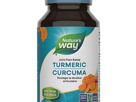 Nature s Way Turmeric, Standardized Extract 60s Online now