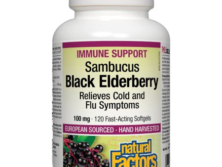 Natural Factors Black Elderberry 100 mg 120s Hot on Sale