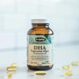 Flora DHA Vegetarian Algae 60s Online now