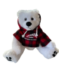 SAH 12  Cuddle Critter Polar Bear w Richmond Olympic Oval Hoodie Online now