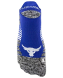 Under Armour Socks - Adult Project Rock No Show Tab Cheap