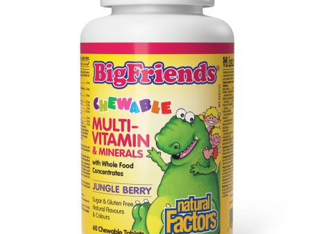 Natural Factors Big Friends Chewable Multivitamin & Minerals Jungle Berry 60s For Cheap