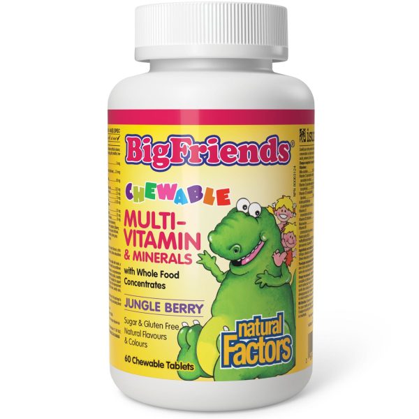 Natural Factors Big Friends Chewable Multivitamin & Minerals Jungle Berry 60s For Cheap