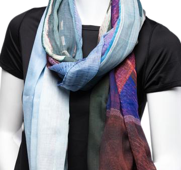 Richmond Olympic Oval Photo Scarf Hot on Sale