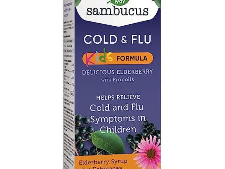 Nature s Way Sambucus Elderberry Kids Cold & Flu Syrup 120ml on Sale