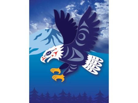 Native Northwest Postcards - Assorted Online now